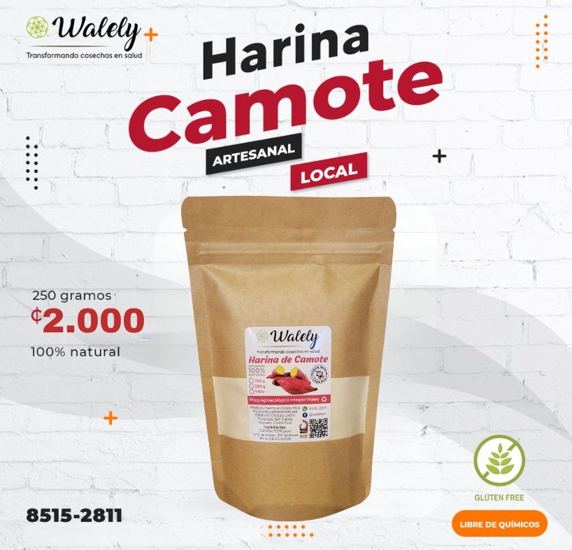 Producto 10
